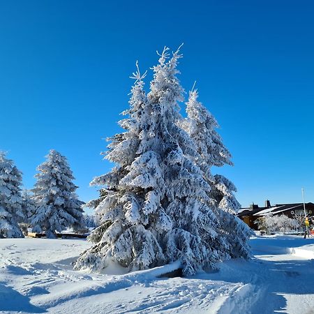 Hotel & Ferienappartements Edelweiss Willingen  Zewnętrze zdjęcie