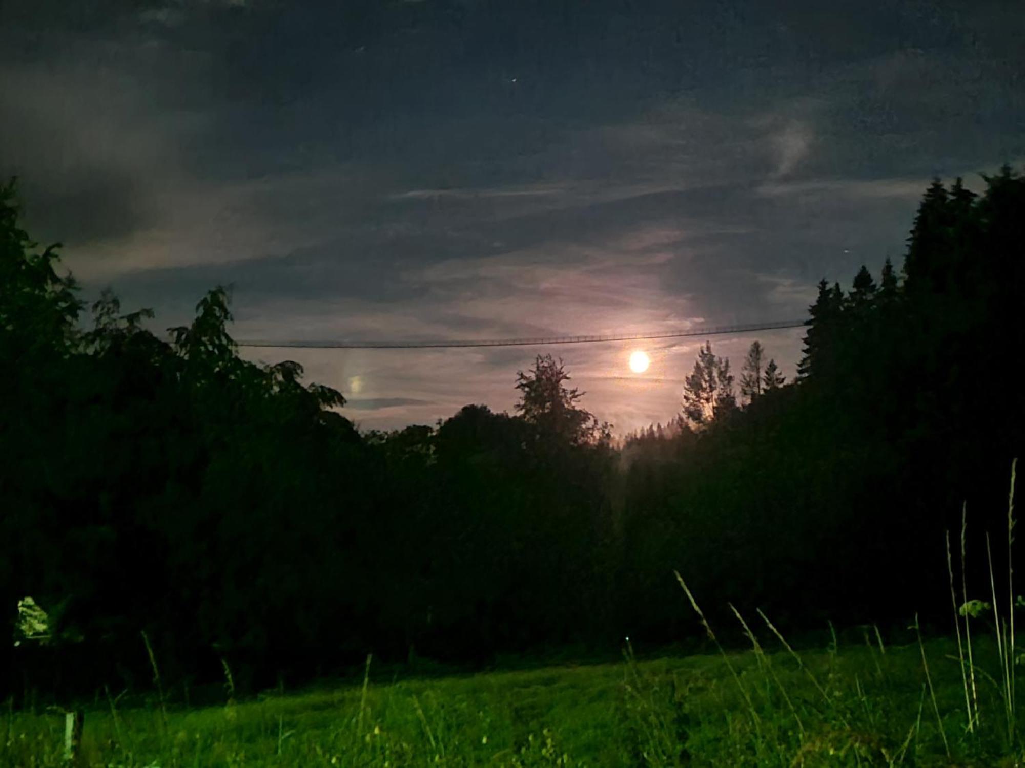 Hotel & Ferienappartements Edelweiss Willingen  Zewnętrze zdjęcie