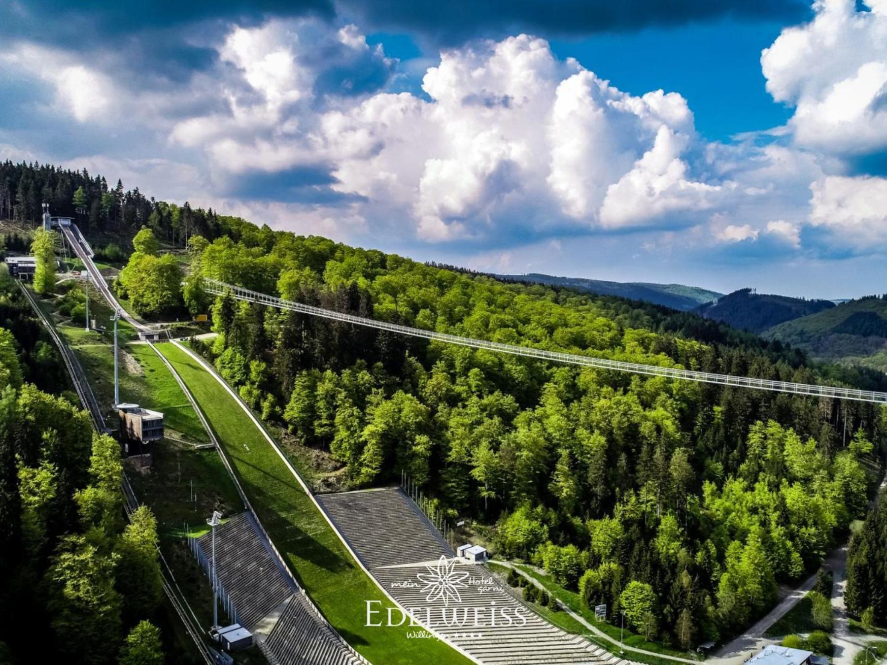 Hotel & Ferienappartements Edelweiss Willingen  Zewnętrze zdjęcie